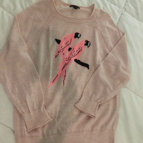 COPY - J.Crew Merino wool crewneck sweater in parrot - Picture 4 of 5